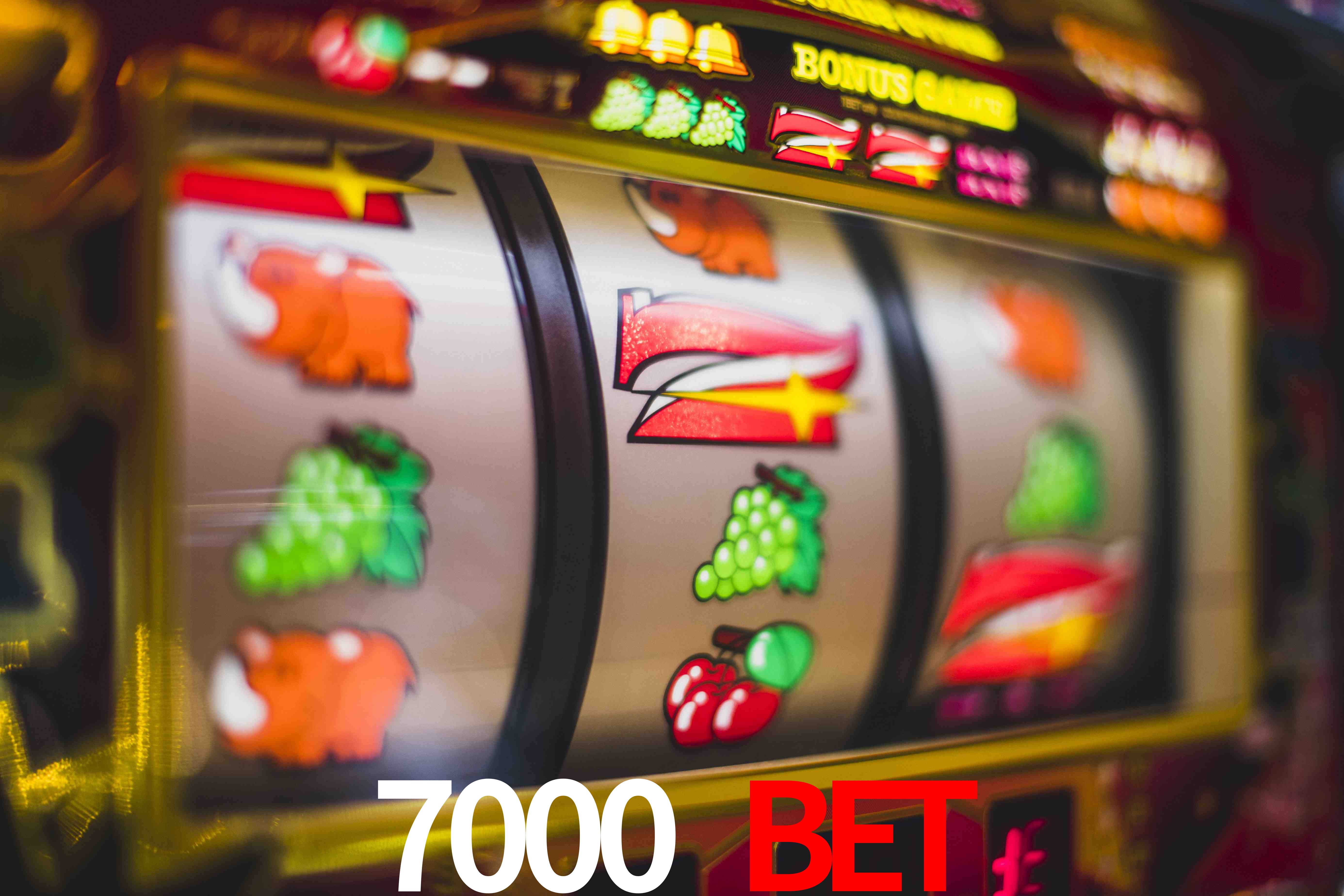 Sports Statistics 7000 bet